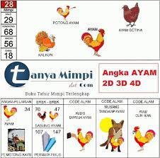 No Togel Mimpi Ayam Masuk Rumah