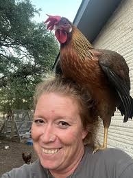 Hello Everyone! I am not sure if allowed but we have started my  homesteading journey and have also created an account to document it