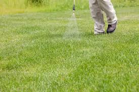 Trugreen is the largest residential lawn care service company in the us, and it is ranked #2 on lawn and landscape magazine's we explain the benefits of using a grass aerator, the best times to use it, and if it's worth buying, renting, or simply hiring a professional like. Trugreen Lawn Care Tampa Fl 877 868 5590