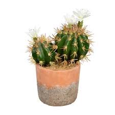 Crochet cactus crochet fabric crochet food freeform crochet. Vickerman 9 Artificial Green Cactus In Clay Pot Target
