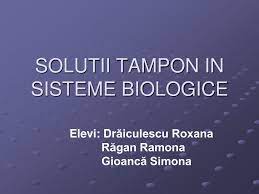 Bunun bizim için önemi nedir? Ppt Solutii Tampon In Sisteme Biologice Powerpoint Presentation Free Download Id 6255931