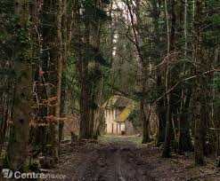 Une Maison Abandonnee En Foret Maison Abandonnee Chateau Photo De Maison