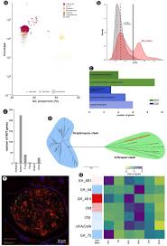 The term 'pest control' covers several types of animal infestations and outbreaks. Molecular Evolutionary Trends And Biosynthesis Pathways In The Oribatida Revealed By The Genome Of Archegozetes Longisetosus Biorxiv