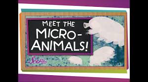 This sheet comes with six ideas at the bottom of the page, and is also available without the ideas so you can add your own. Micro Organisms Theschoolrun