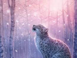 Snow Leopard Fantasy Abstract Background Wallpapers On Desktop Nexus Image 2503154 Laptop computer grayscale photo, notebooks, cat, monochrome, animals. snow leopard fantasy abstract