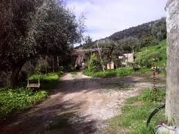 Trova 31 nuove costruzioni da 60.000 €. Foto 0 Terreno Agricolo Con Ruderi A Capo D Orlando A Messina In Vendita