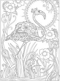 Click the baby flamingo coloring pages to view printable version or color it online (compatible with ipad and android tablets). Flamingo Coloring Pages 100 Pictures Free Printable