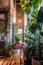 Water can flow between the cell walls of adjacent cells. This Apartment Is A Plant Lover S Dream A Cup Of Jo