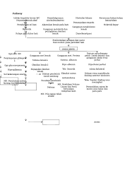 Yang dapat menjadi pegangan dalam menegakkan diagnosis sirosis hepatis. Pathway Sirosis Hepatis