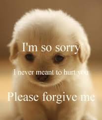  150 Best Forgiveness Quotes Sayings About Love And Life Forgiveness Quotes Apologizing Quotes Apology Quotes For Him