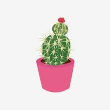 Adoramos los cactus y las suculentas, los vemos en todas las revistas y webs de decoración. Dibujos Animados Lindo Planta Cactus En Maceta Elementos Comerciales Dibujos Animados Encantador Cactus Png Y Vector Para Descargar Gratis Pngtree Cactus Cactus Png Plantas