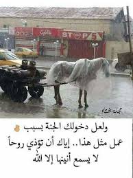 اللهم اجعل في قلوبنا رحمه علي كل خلقك واجعلنا من المرحومين funny arabic quotes arabic quotes beautiful phrases