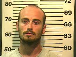 Wilmer man accused of sexually abusing mini horse says he's in counseling