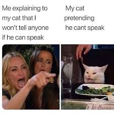 All The Best Woman Yelling At Cat Memes In One Convenient Place Memes Funny Memes Women Humor