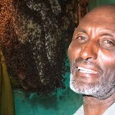 The urban beekeeper who skips lunch to tend to his bees