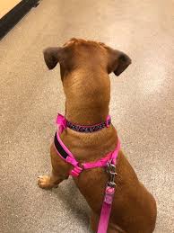 Let's welcome our new members! Kennedy Harris Alex