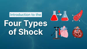 The Four Types of Shock - Limmer Education