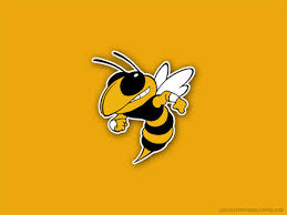 Image result for georgia tech logo