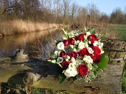 You might thing that a bouquet or centerpiece of carnations is all you need, but if you add just the right amount of baby's breath, your arrangements will have a look of sophistication that you might find. Red And White Roses Baby S Breath Bouquet Free Image Peakpx