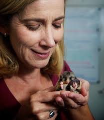 LEAVE A GIFT IN YOUR WILL AND FIGHT WILDLIFE EXTINCTION