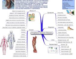 Novamind Mind Map Branch Peripheral Vascular Disease Nurse Teaching Cardiac Nursing Nursing School Studying