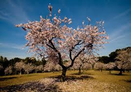 Check spelling or type a new query. Equinoccio De Primavera 2021 Cuando Empieza La Nueva Estacion