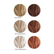 Si vous souhaitez camoufler quelques cheveux blancs et redonner de la vitalité à une chevelure terne, ce type de coloration est tout indiqué ! Coloration Poudre Bio 100 Vegetale Les Couleurs De Jeanne Ayanature