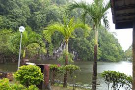 We did not find results for: Explore Perlis Hutan Lipur Bukit Ayer