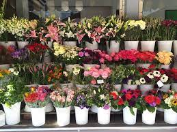 We work only with responsible, sustainable farms to bring you the highest quality, freshest blooms local san francisco flowers are an option as well, thanks to the moderate temperatures and rolling hills near the coasts. 10 Best Florists In San Francisco For Fresh Bouquets Or Delivery