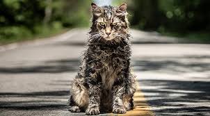 Baixar filme cats torrent dublado, legendado, dual áudio, 1080p, 720p, mkv, mp4 completo download cats uma tribo de gatos chamada jellicles todo ano precis. Pet Sematary 2019 Imdb