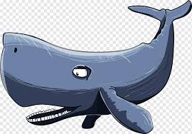 Start with the eyes and the add the eyebrow, and mouth. Sperm Whale Cetacea Humpback Whale Cartoon Drawing Sperm Whale Comics Marine Mammal Mammal Png Pngwing