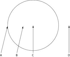 Chapter 31 34 probable questions Flashcards Quizlet