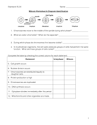 Mitosis/meiosis in asexual reproduction, the new individuals are the product of mitosis. Biology Meiosis Worksheet Printable Worksheets And Activities For Teachers Parents Tutors And Homeschool Families