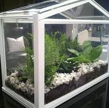 Pin By Wendy Lin On Dollhouse Flowers Indoor Plants Succulent Terrarium Ikea Terrarium