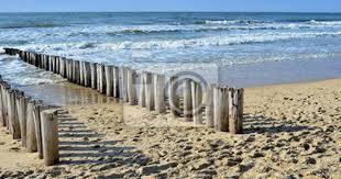 fototapete strand holland meer breakwaters on the beach at the north sea in domburg holland breite materialauswahl fototapete tapeten fototapete strand