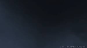 Rule34 - If it exists, there is porn of it  pestilencesfm, amicia de rune   7064041