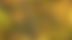 Check spelling or type a new query. 4k Plain Blurred Background Wallpaper Hd Blurred Background 3840x2160 Wallpaper Teahub Io