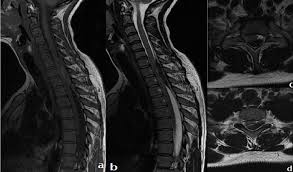 The Pan African Medical Journal Image Quiz