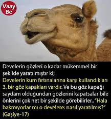 Ilker Limanlar Adli Kullanicinin Doga Panosundaki Pin Biliyor Muydunuz Ilham Verici Sozler Deve
