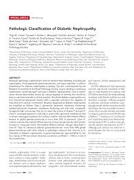 A healthy diet plan for renal diabetics is very useful in kidney related diseases. Pdf Pathologic Classification Of Diabetic Nephropathy