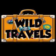 In folklore, a mermaid is an aquatic creature with the head and upper body of a female human and the tail of a fish. Weeki Wachee Mermaids Share Secrets To Working Underwater Wildtravelstv Com Youtube