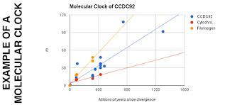 How did they end up as a clockwork mage? Molecular Clock Untamed Science