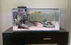 Tank Layout