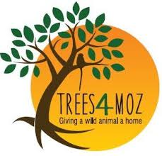 Image result for Millettia stuhlmannii