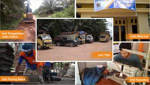 We did not find results for: Unit Usaha Bumdes Karya Jaya Abadi Desa Amin Jaya