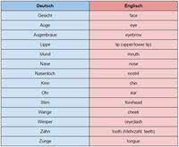 Klett mein übungsheft rechtschreiben und diktat 2. Die Schulfacher Auf Englisch Liste Beispiele