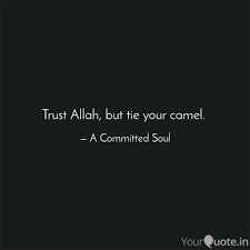 © 2015 farlex, inc, all rights reserved. Trust Allah But Tie Your Quotes Writings By Nusayhah Aumeer Yourquote