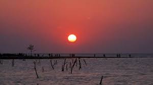 Aduh enak banget nih aku nggak mau gerak, abi aja yg goyangpic.twitter.com/ytwndw9atc. 4 Tempat Wisata Di Jepara Yang Mulai Simulasi Untuk Dibuka Lagi Simak Daftarnya Tribun Travel