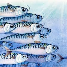 Merry Mackerel White Dog Gallery Fish Artwork Fish Painting Fish Drawings