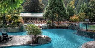 Prix D Une Piscine Naturelle Nos Indications Guide Prix Com